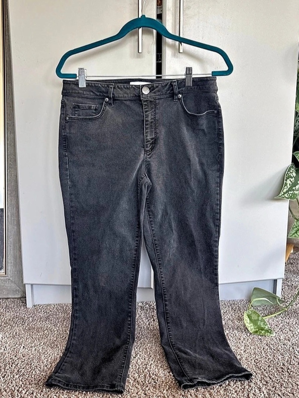 LOFT Black Flare Jeans Waist 31/12